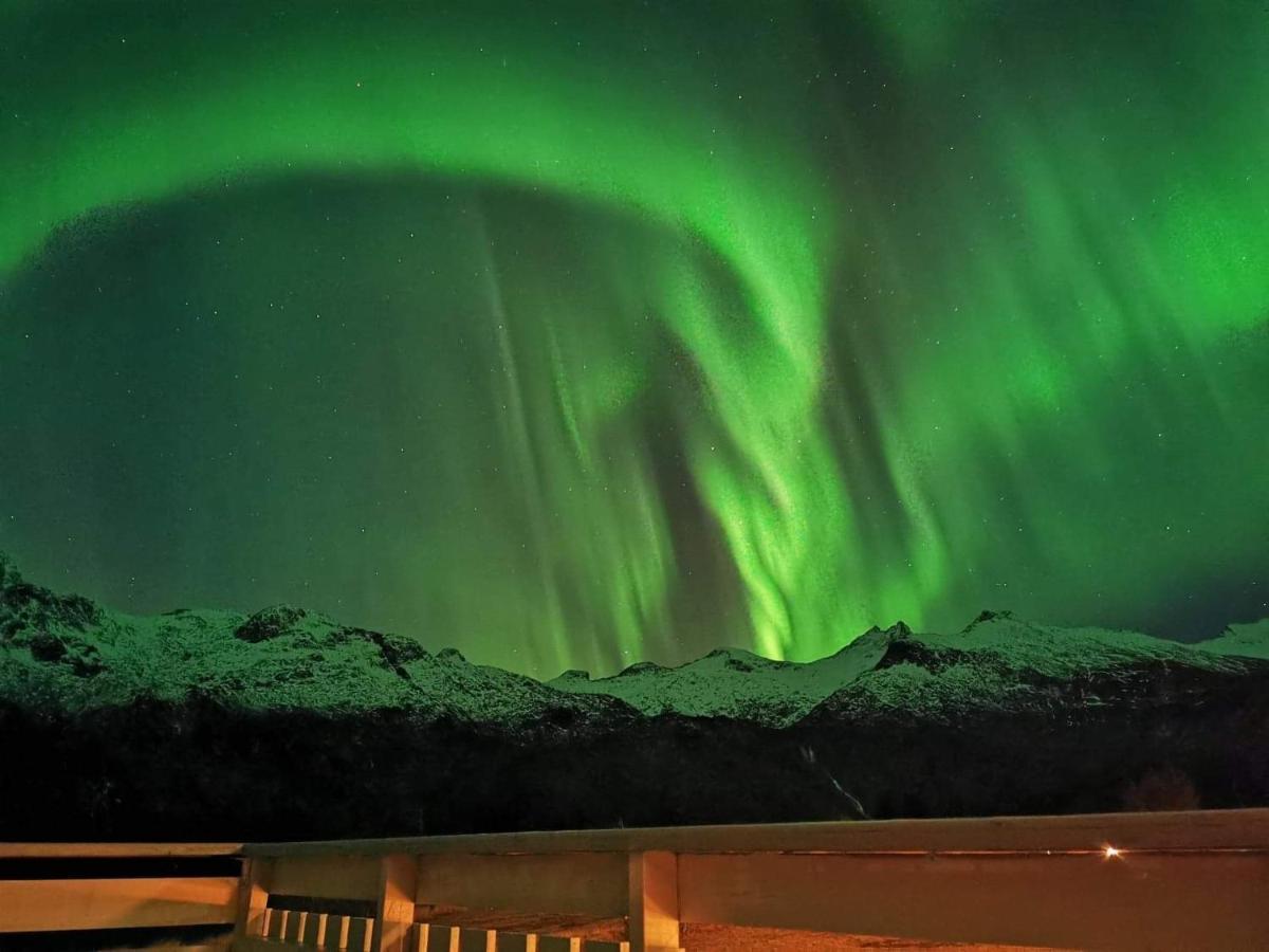 Unique And Charming House At The Foot Of Lofoten'S Highest Mountain Svolvær Zewnętrze zdjęcie