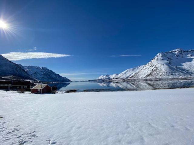 Unique And Charming House At The Foot Of Lofoten'S Highest Mountain Svolvær Zewnętrze zdjęcie